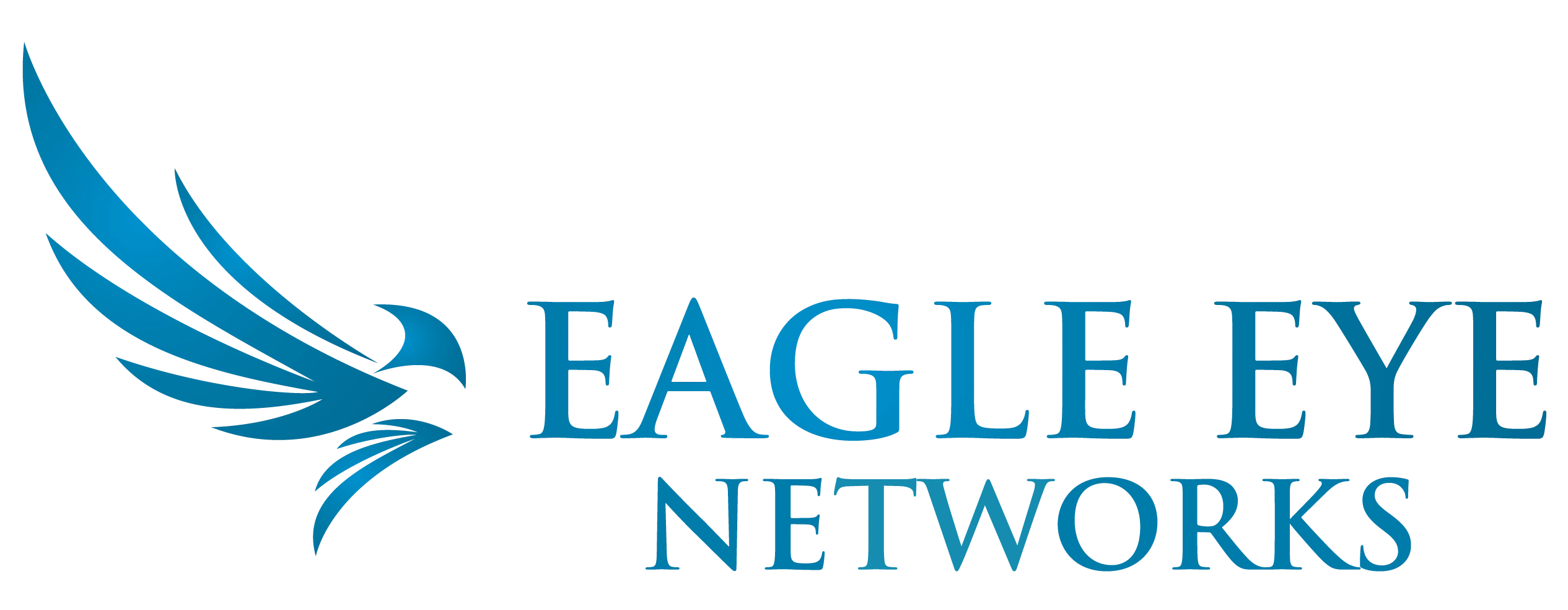 Eagle Eye LogoHorizontal big (1)